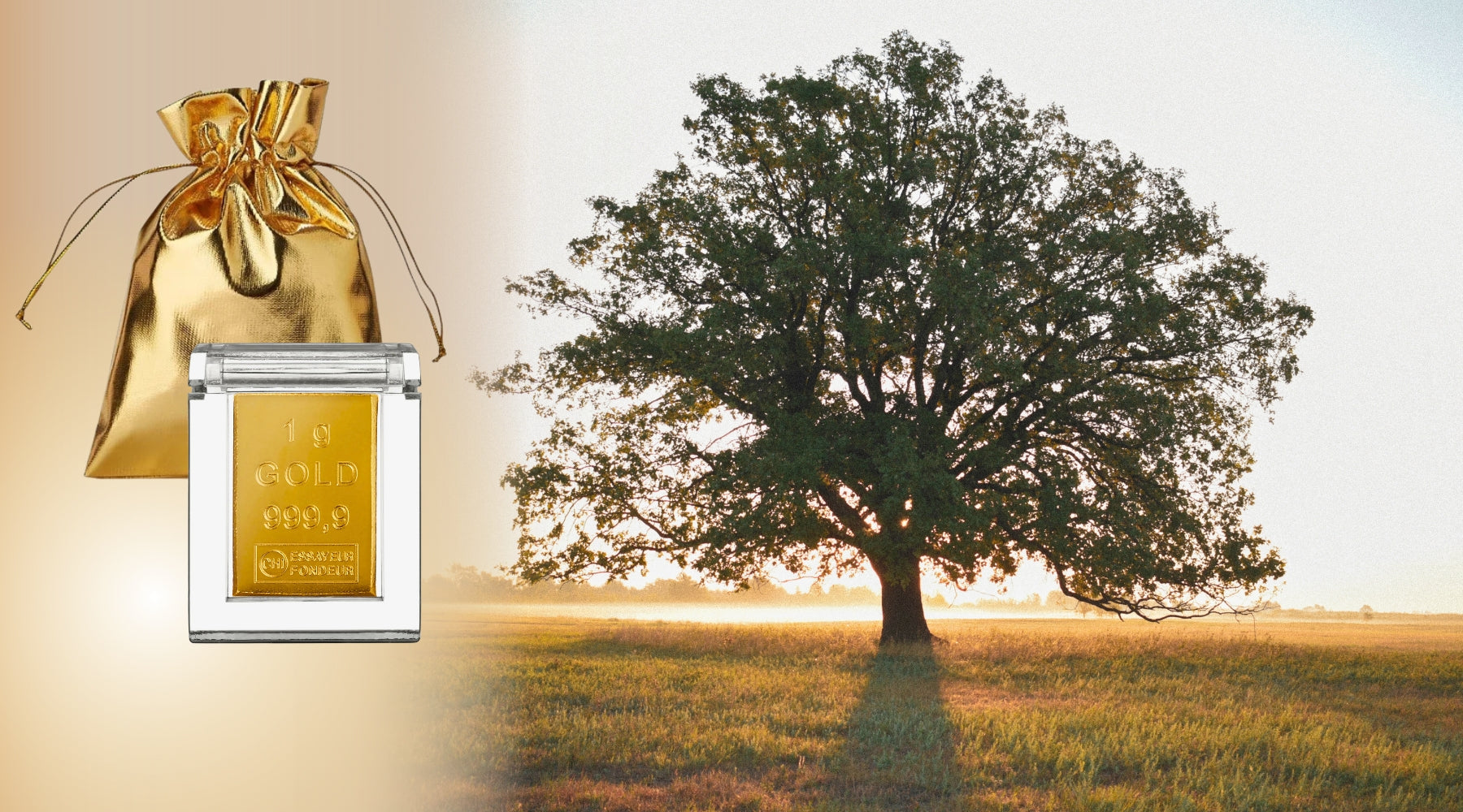„Goldbarren im Etui und goldener Geschenkbeutel links, daneben ein großer Baum im Sonnenaufgang auf einer Wiese – Symbol für Wertbeständigkeit und Naturverbundenheit.“