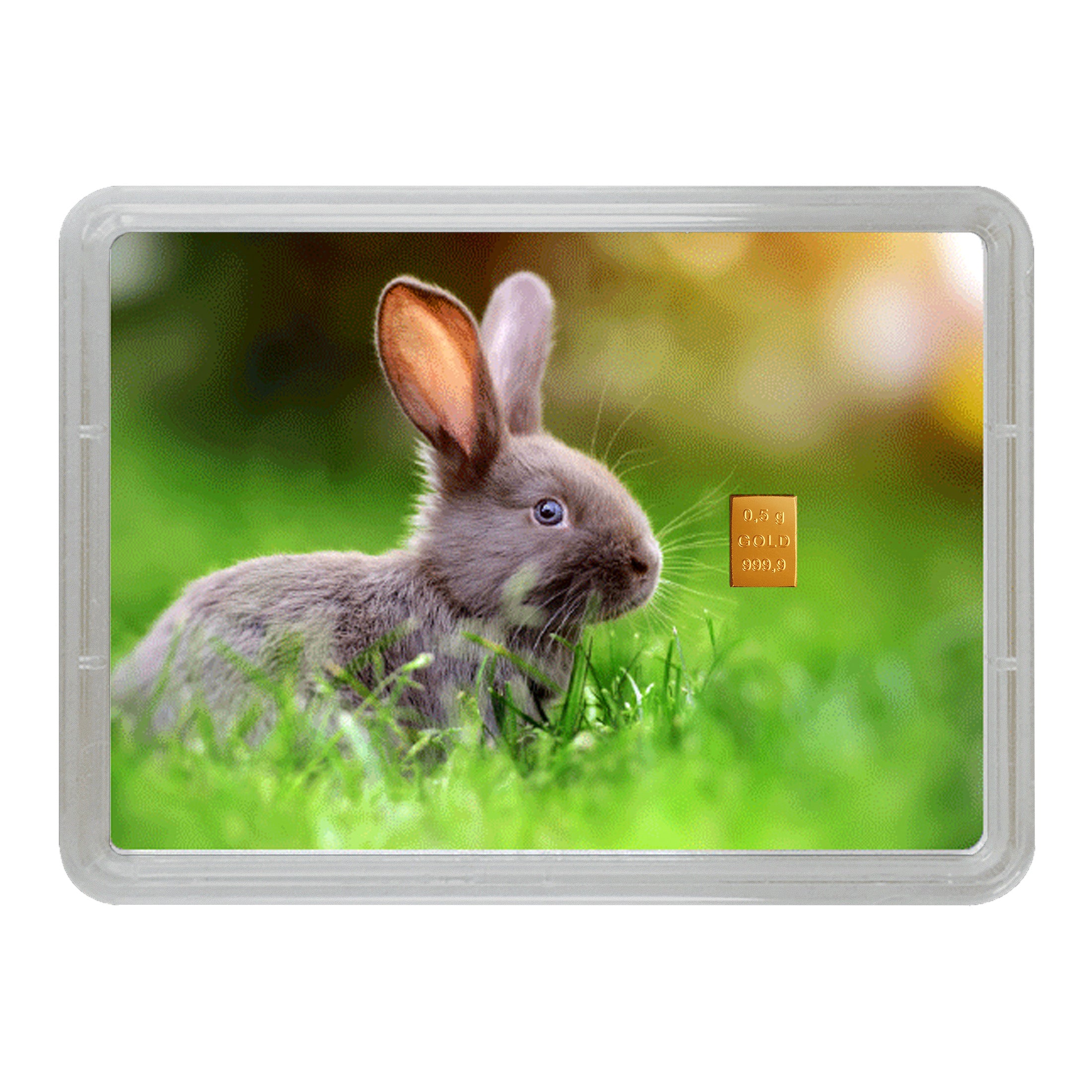Osterhase mit Goldbarren verschenken