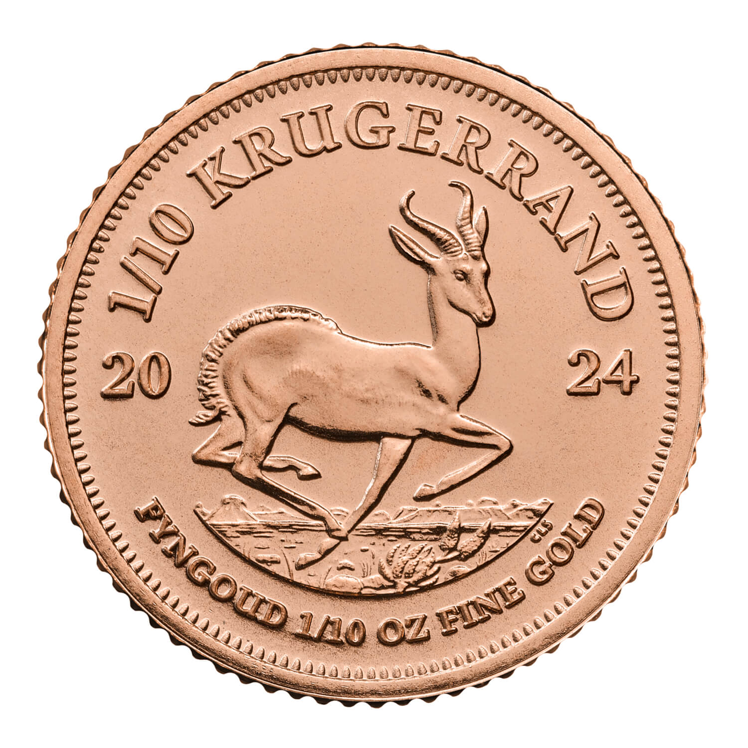 Krügerrand Goldmünze 1/10oz 2024 Vorderseite