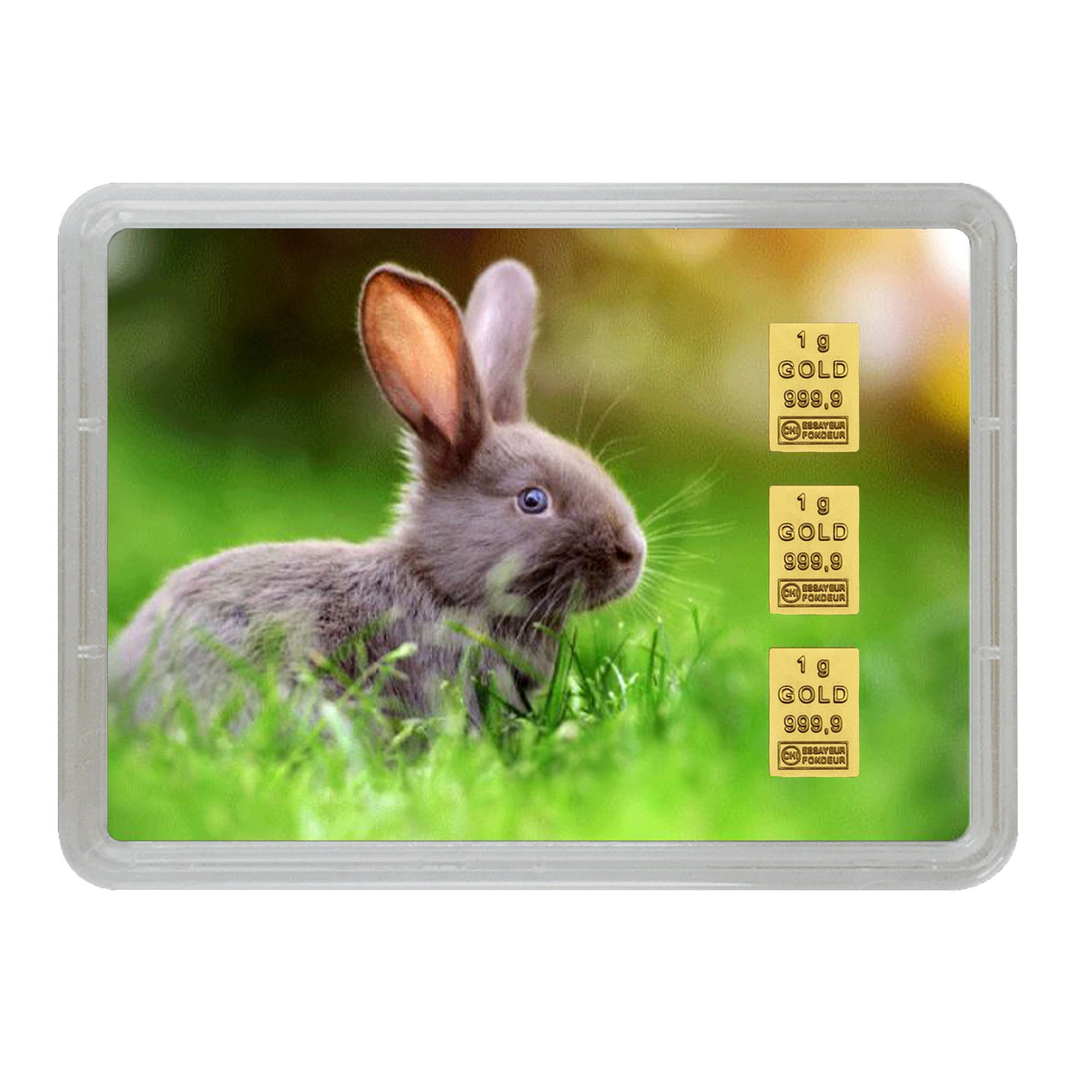 Goldbarren Flip-Motivbox "Frohe Ostern" - Hase auf Wiese